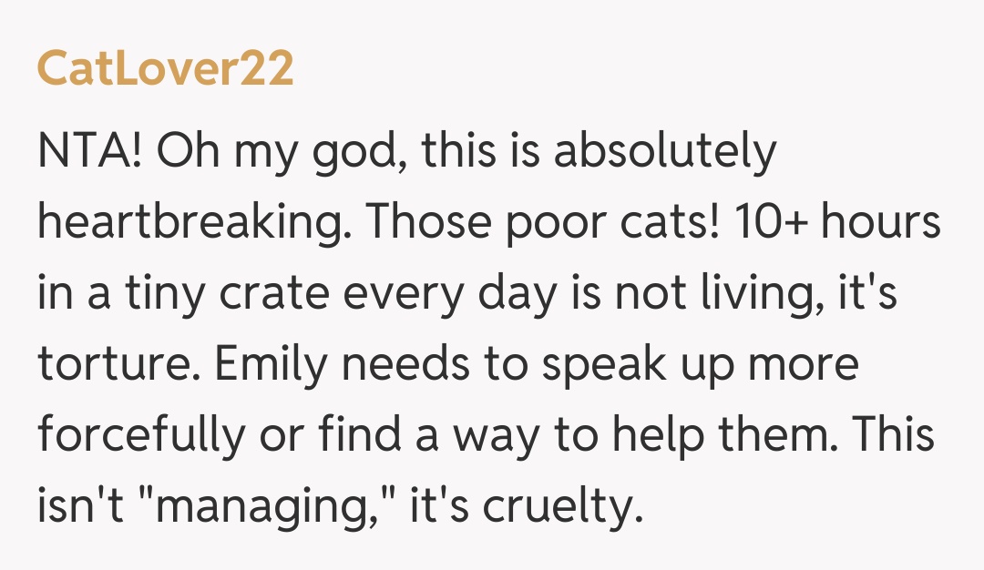 Comentariu de la CatLover22