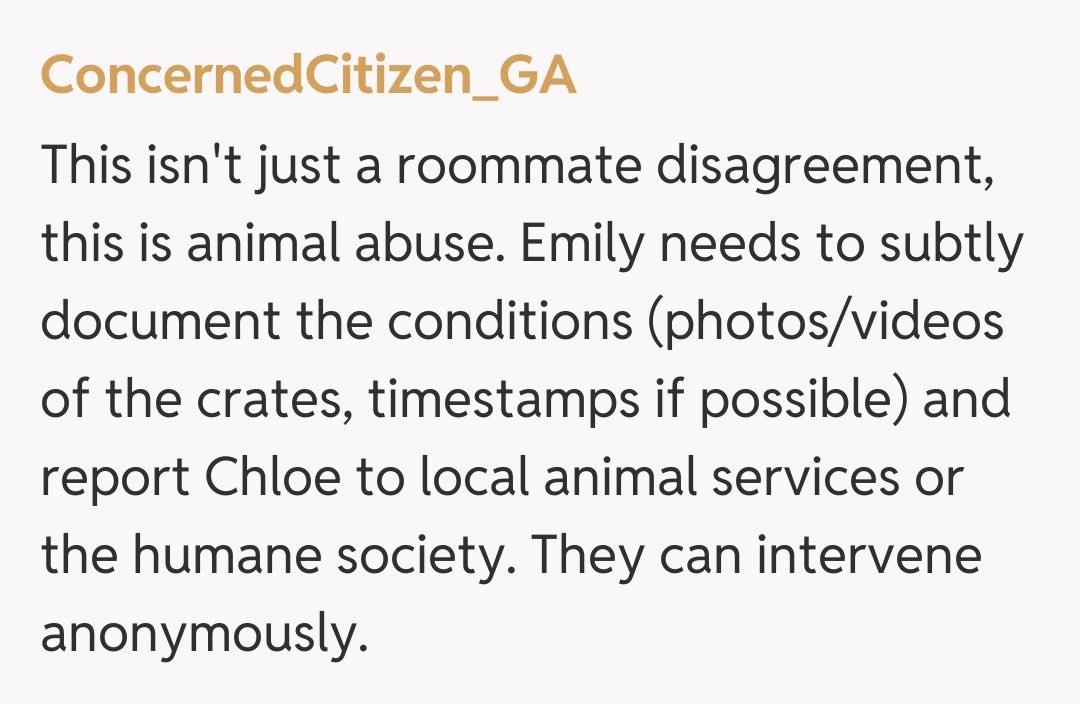 Comentariu de la ConcernedCitizen_GA