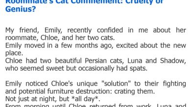 Photo of Roommate’s Cat Confinement: Cruelty or Genius?