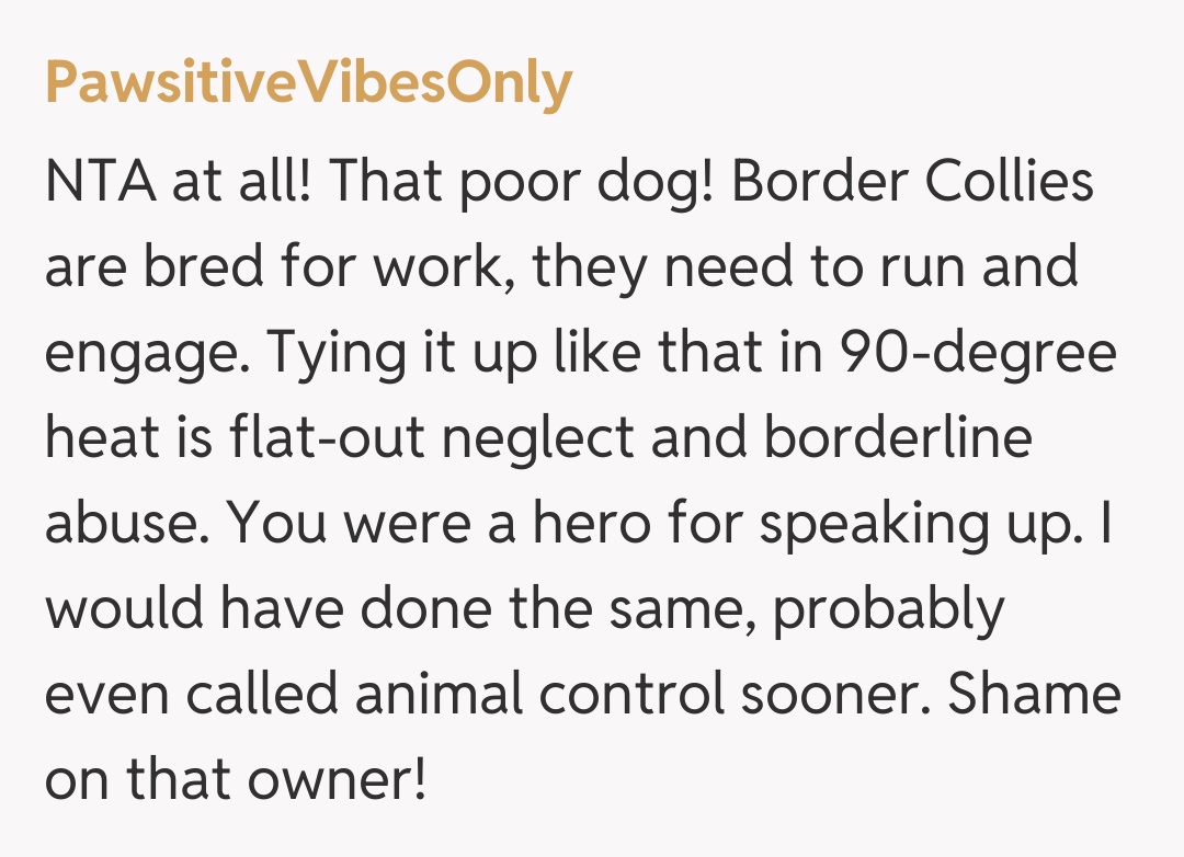 Comentariu de la PawsitiveVibesOnly