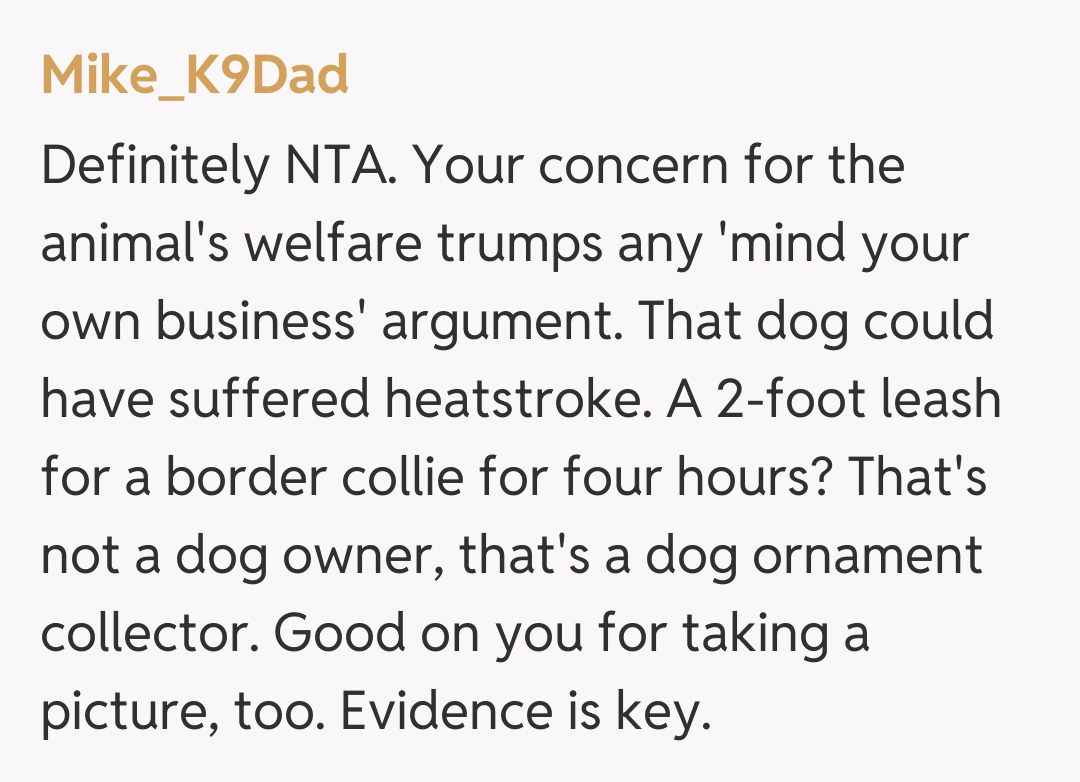 Comentariu de la Mike_K9Dad