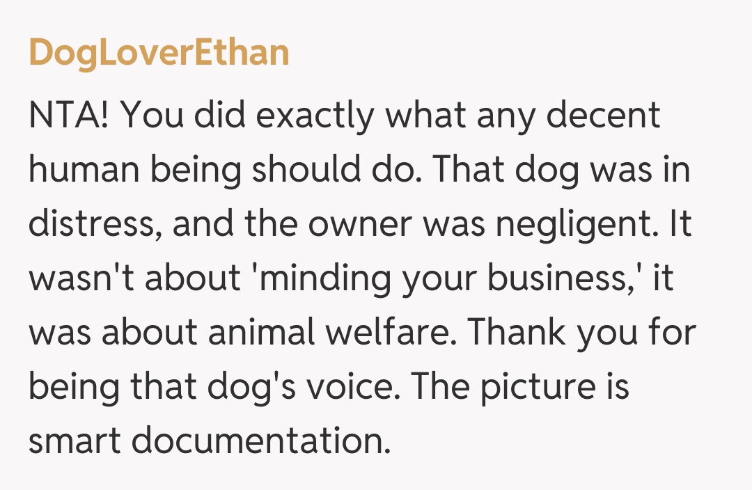 Comentariu de la DogLoverEthan