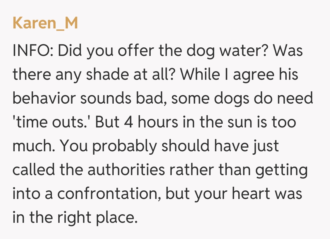 Comentariu de la Karen_M