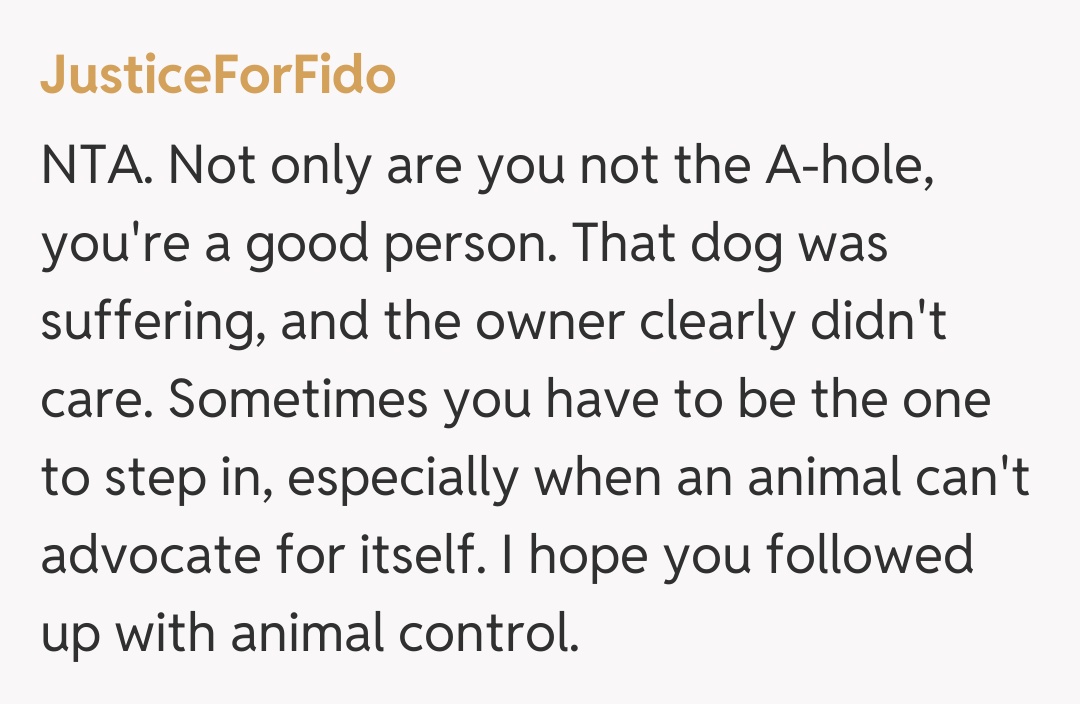 Comentariu de la JusticeForFido