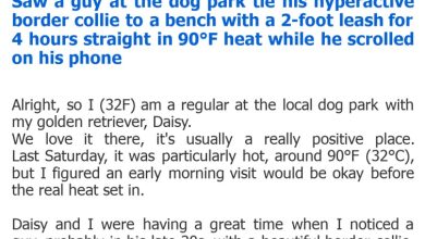 Photo of Saw a guy at the dog park tie his hyperactive border collie to a bench with a 2-foot leash for 4 hours straight in 90°F heat while he scrolled on his phone