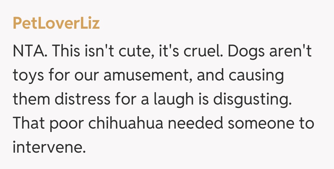 Comentariu de la PetLoverLiz