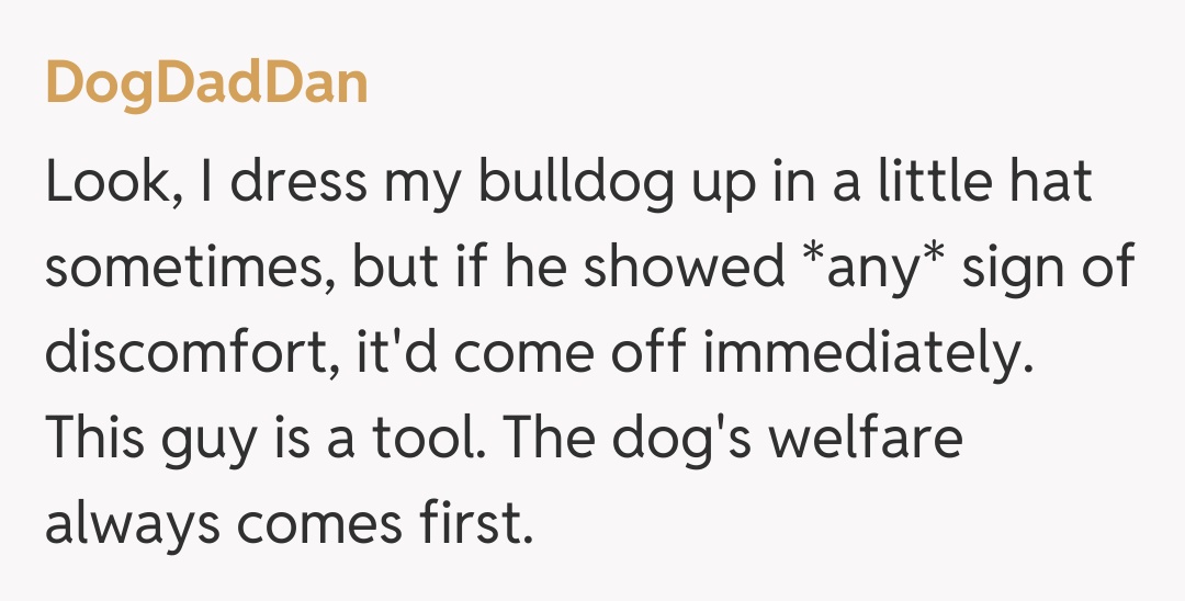 Comentariu de la DogDadDan