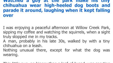 Photo of Watched a guy at the park make his tiny chihuahua wear high-heeled dog boots and parade it around, laughing when it kept falling over