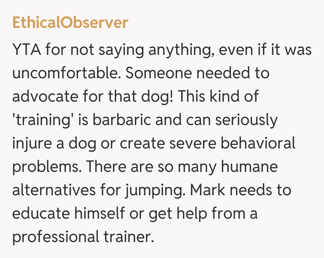 Comentariu de la EthicalObserver