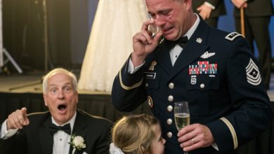Photo of My Family Treated Me Like a Failure at the Wedding… Then the Bride Saluted Me and Changed Everything