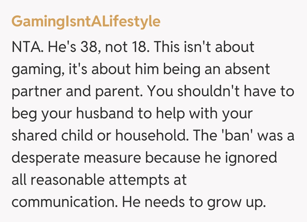 Comentariu de la GamingIsntALifestyle