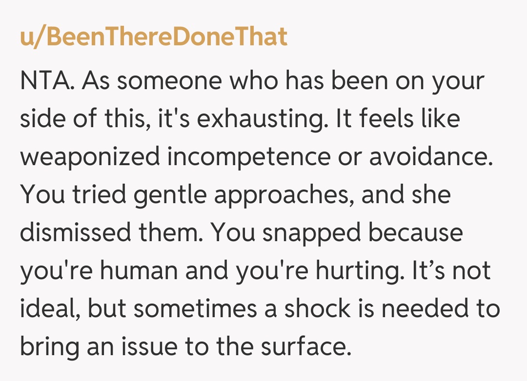 Comentariu de la u/BeenThereDoneThat