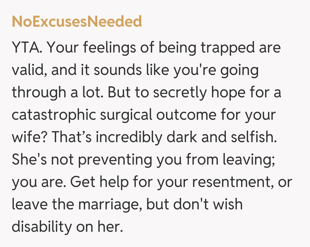 Comentariu de la NoExcusesNeeded