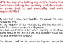 Photo of AITA for secretly telling my wife’s family that she’s been faking her anxiety and depression for years just to get sympathy and avoid responsibility?