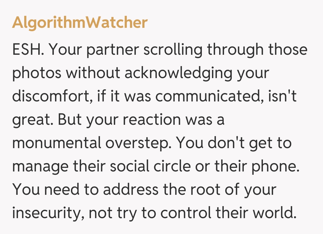 Comentariu de la AlgorithmWatcher