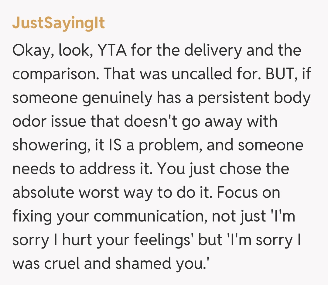 Comentariu de la JustSayingIt