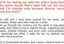 Photo of AITA for telling my wife her entire body feels like warm dough that’s been left out too long and I’m staying only because divorce would cost too much?