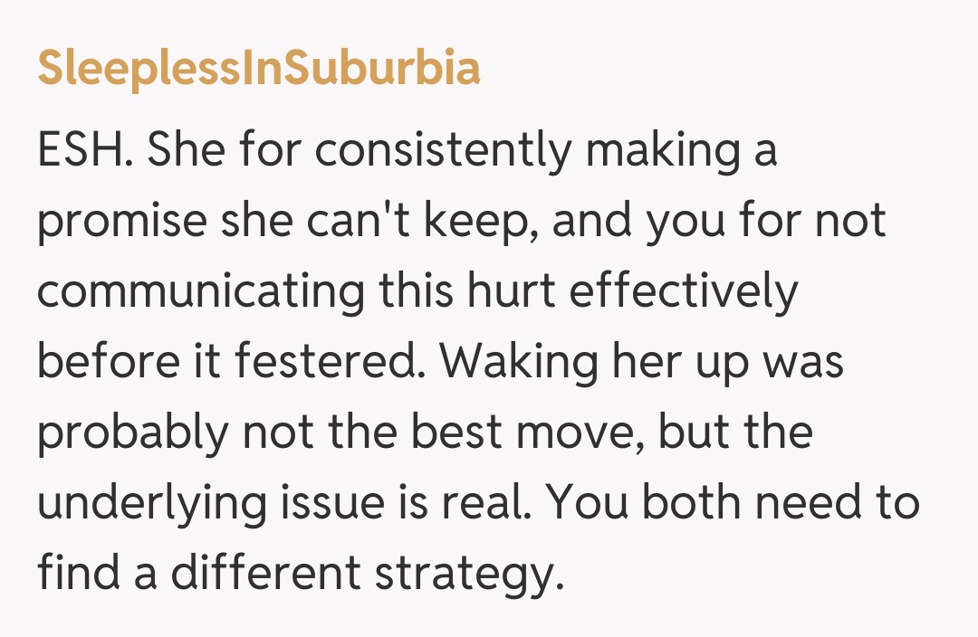 Comentariu de la SleeplessInSuburbia