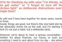 Photo of AITA for thinking my wife uses “I’m thirsty, let me get water” or “I forgot to turn off the kitchen light” as deliberate distractions every single time?