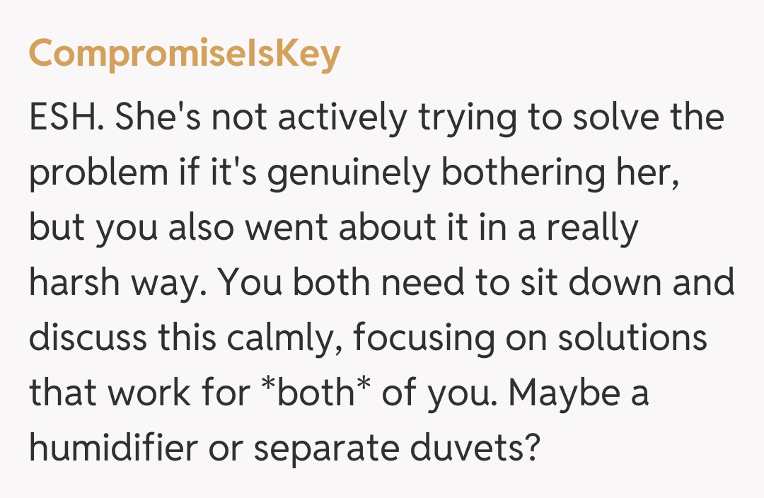 Comentariu de la CompromiseIsKey