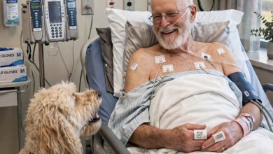 Photo of The Old Man in Room 412 Had No Visitors – Until My Therapy Dog Refused to Leave His Side
